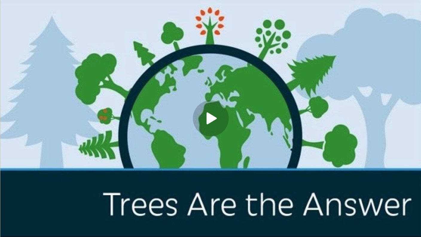  Trees Are the Answer